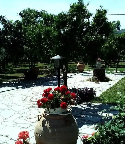 Nireas * Nea Skioni